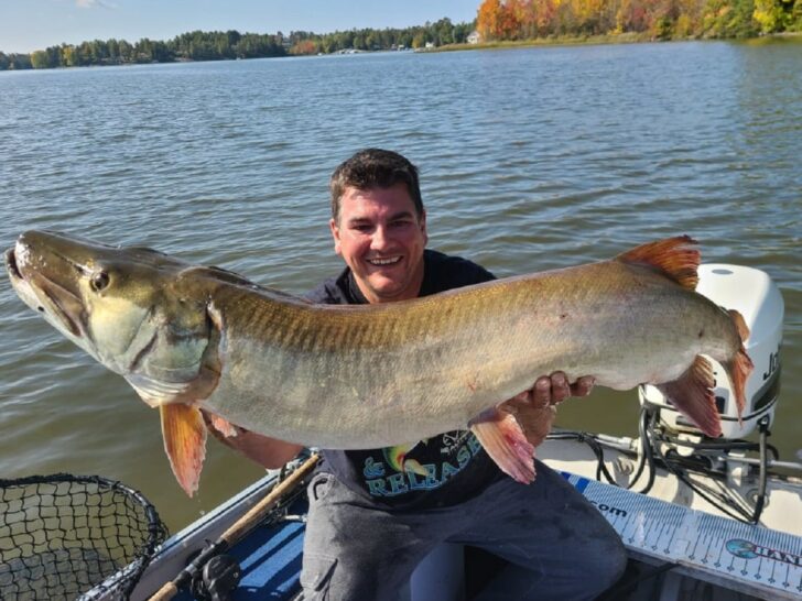 What Do Muskie Eat? (Preferred Prey and Baits)