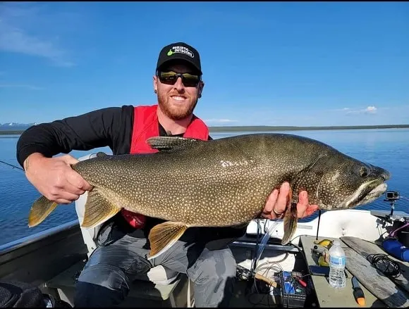 a fisher holding a huge lake trout that he has caught jigging