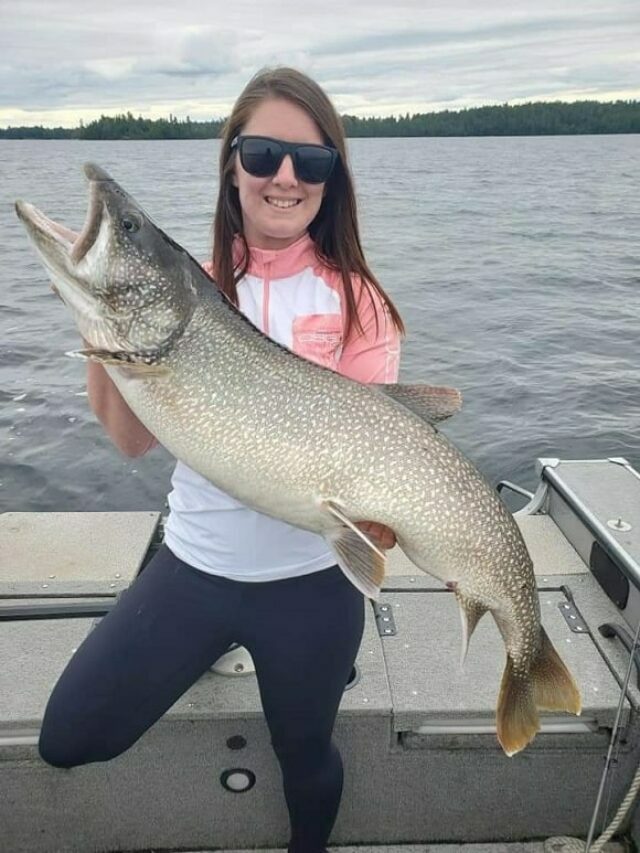 How Big Are Lake Trout?