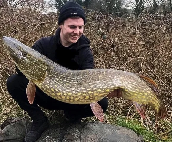 an angler holding a really big northern pike caught on live bait