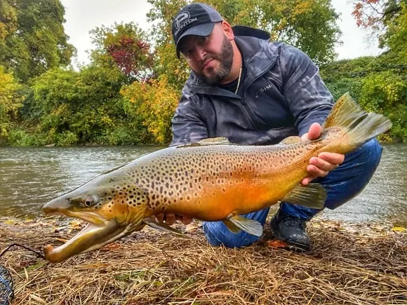 a fisherman on a river holding a really big brown trout that he has caught on a live baitfish