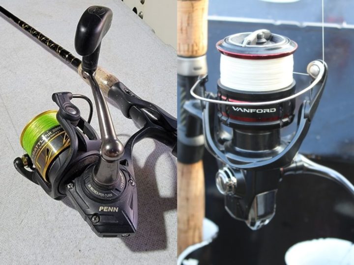 Penn vs. Shimano (Which Brand Is Better?)