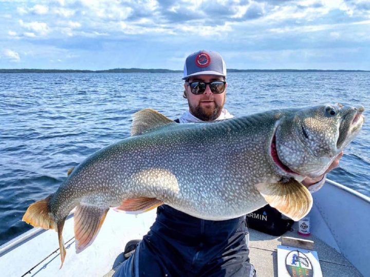 How Big Do Lake Trout Get? (With Record Lengths and Weights)