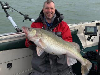 a happy angler on his boat holding a giant female walleye