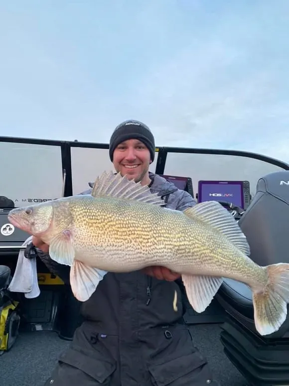 a happy angler on a boat holding a super fat pre-spawn walleye