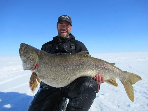 a happy ice angler holding a super big and very old lake trout