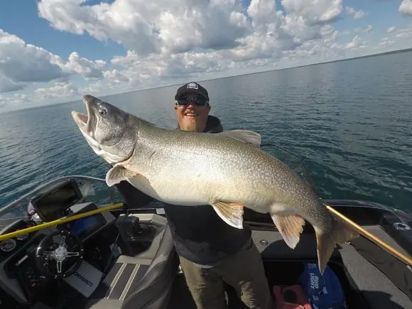 an angler on a boat with an enormous pre-spawn lake trout
