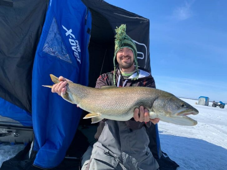 How Big Do Lake Trout Get? (Average and Record Sizes)