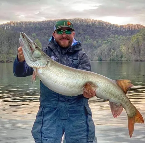 a happy fisher on a lake holding a huge pre-spawn musky