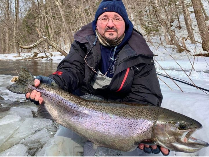 How Big Do Steelhead Get? (With Average and Record Sizes)