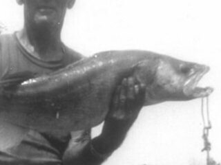 an old image of the 1960 world record walleye from Old Hickory Lake