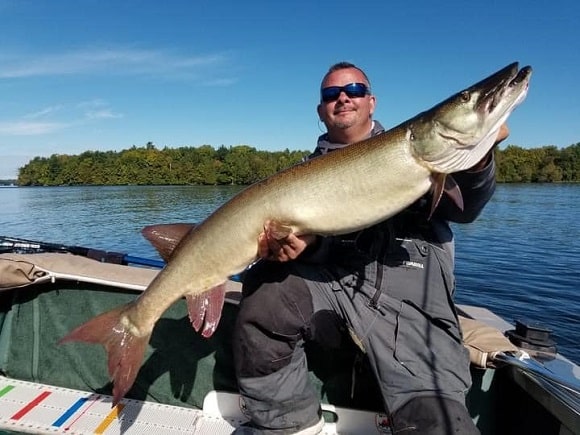 a US angler on his boat holding a long pre-spawn male muskie