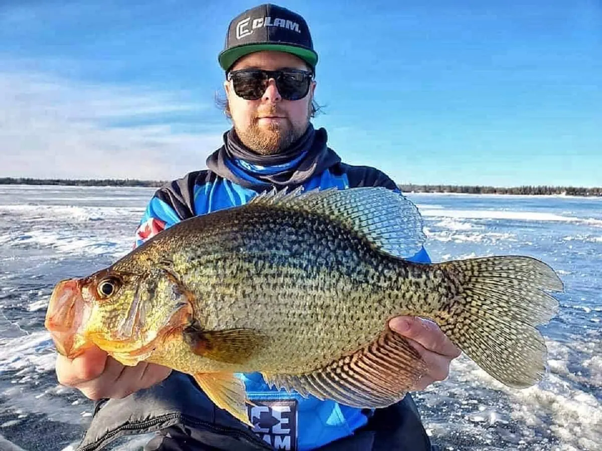 an ice angler in Canada holding a giant crappie