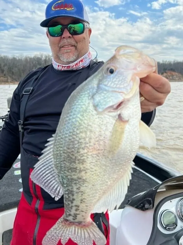 When Is the Crappie Spawn?
