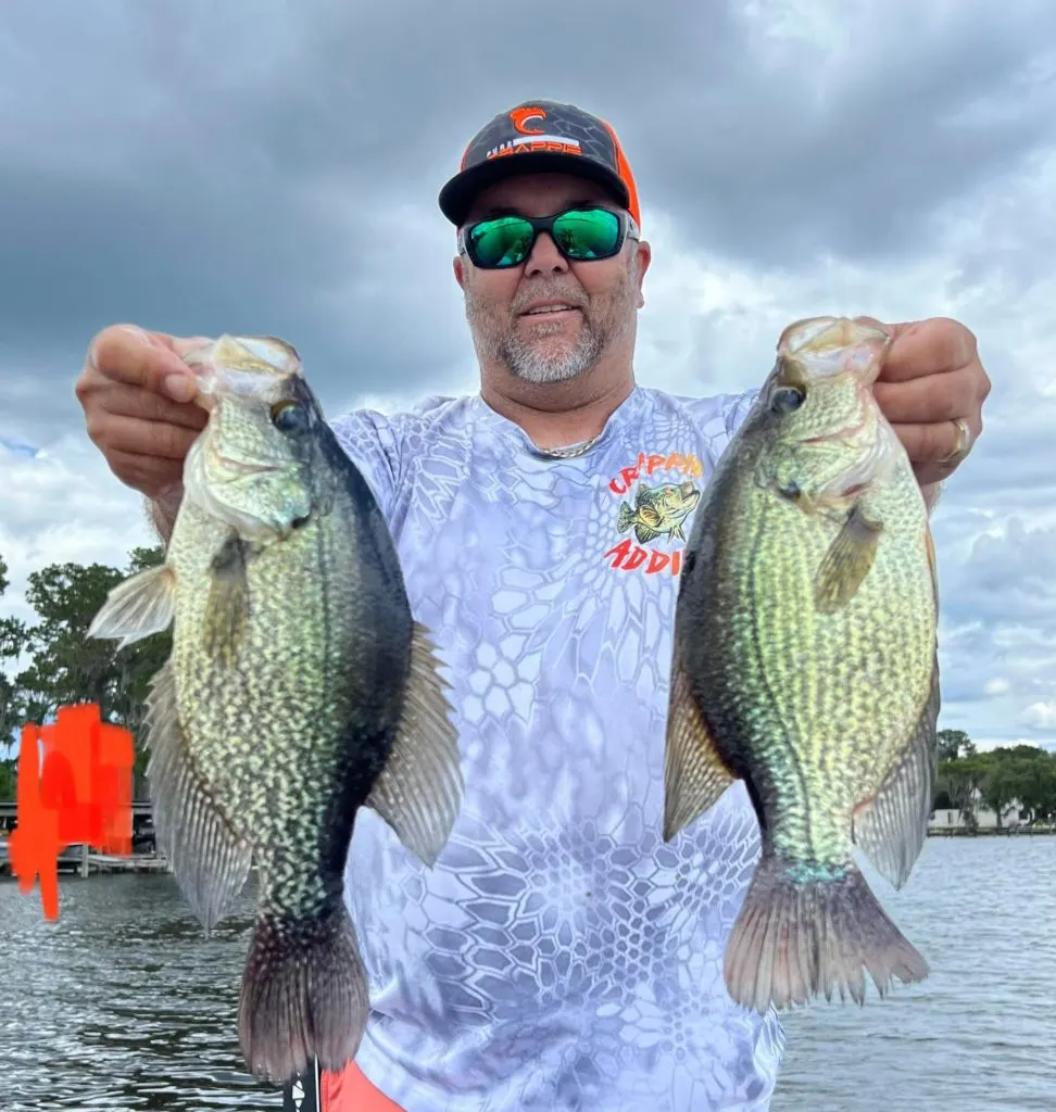 a happy angler holding two big crappie slabs 