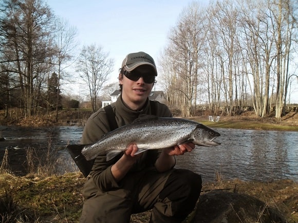 a Swedish angler with a silver colored sea run brown trout