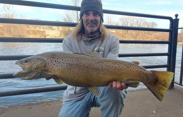 a trout angler on a river holding a giant brown trout caught in the US
