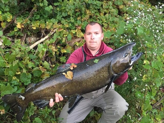 a salmon angler holding a really big chinook salmon caught on the Columbia River