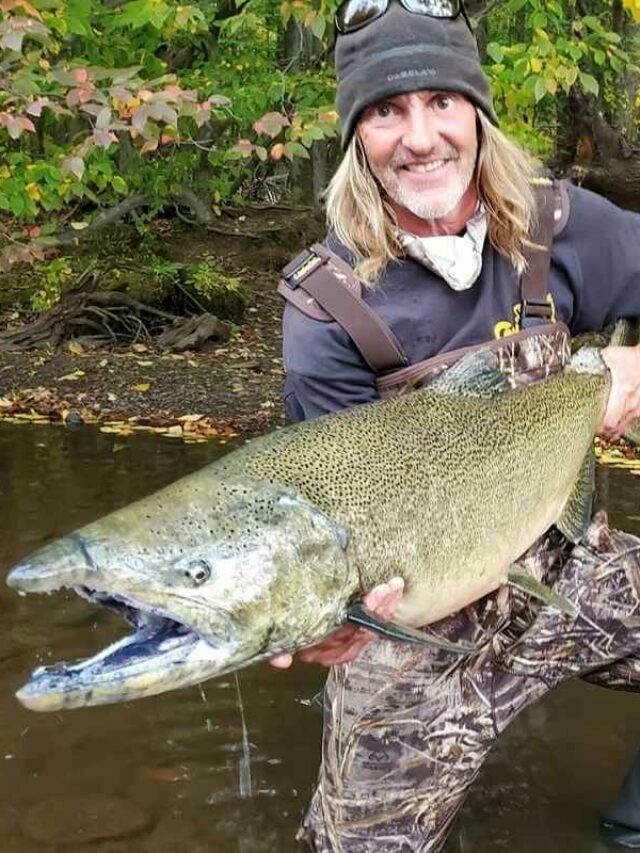 Fishing for Salmon in Michigan (Angler’s Guide)