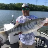 a happy angler on his boat holding a really big striped bass