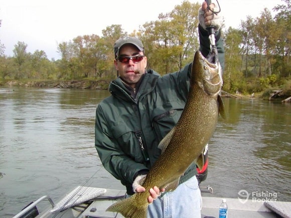 a fishing charter customer on the Pere Marquette River fishing for salmon