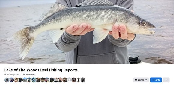 a screenshot of a lake of the woods fishing facebook group