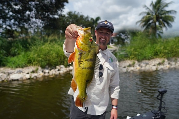 a Florida bass angler holding a big butterfly peacock bass