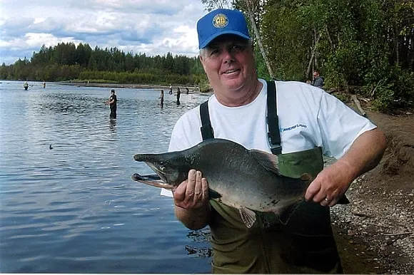 an angler holding a small Alaska pink salmon