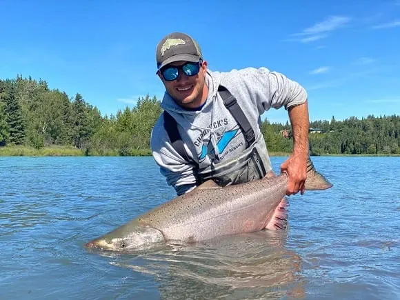 a fly fisherman releasing a giant king salmon on the Kenai river in Alaska