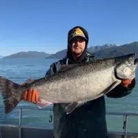 a commercial fisherman on a boat holding a huge Alaska king salmon.