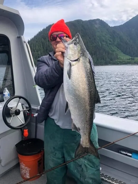 a commercial fisherman holding an expesnive king salmon caught in Alaska