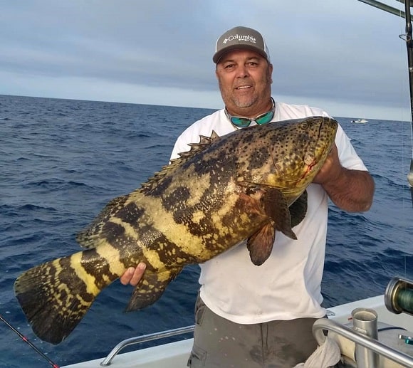 a saltwater angler on a boat holding an average-sized grouper