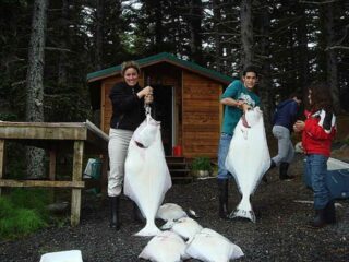 a group of anglers with a bunch of really big halibut