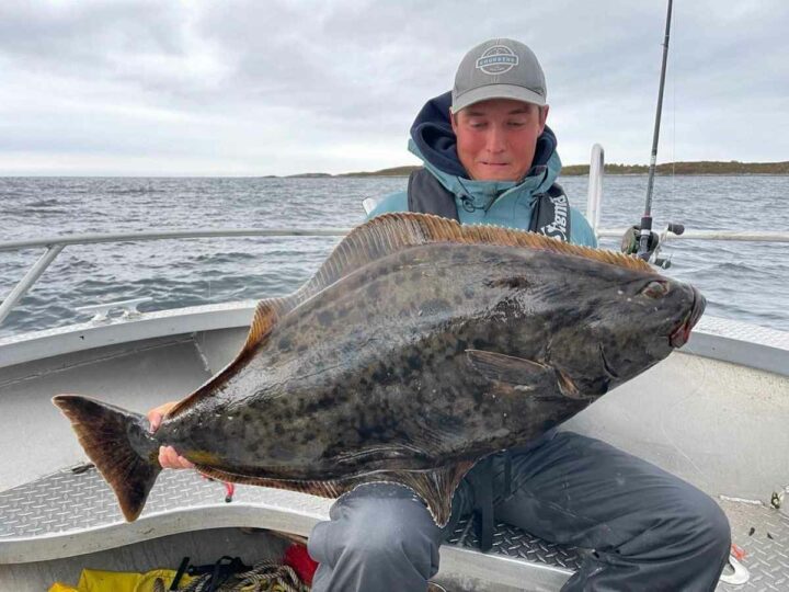 How Big Do Halibut Get? (Average and Record Sizes)