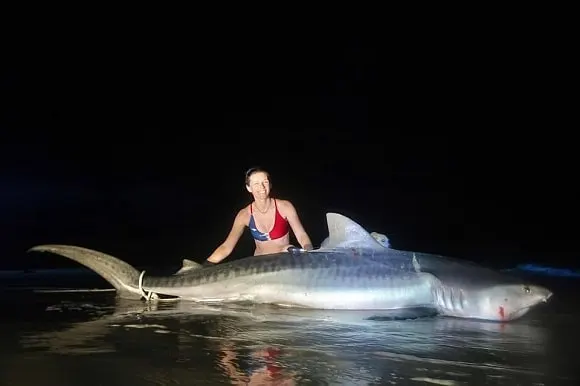 a female angler posing with a gigantic tiger shark on a beach