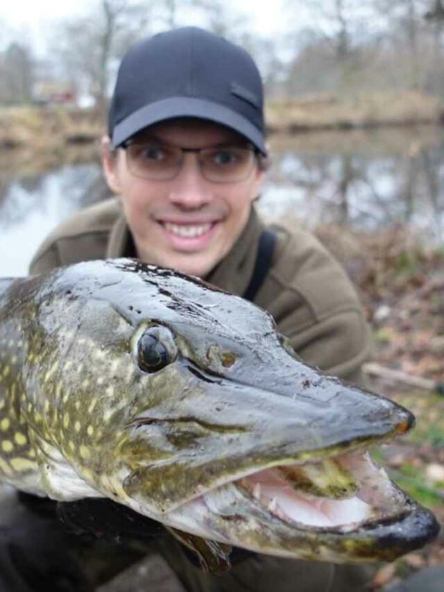 Best Big Pike Nets for 2023