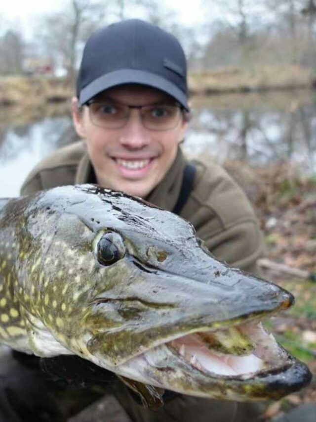 How to Catch Cold Water Pike?