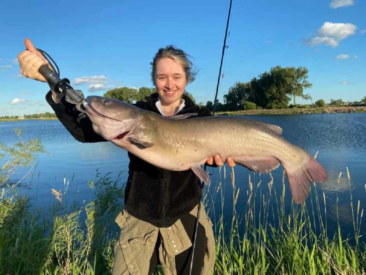 When Do Catfish Spawn? (Times, Temperatures, Locations)