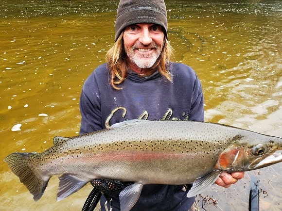 a trout angler holding a huge steelhead caught during the spawning season