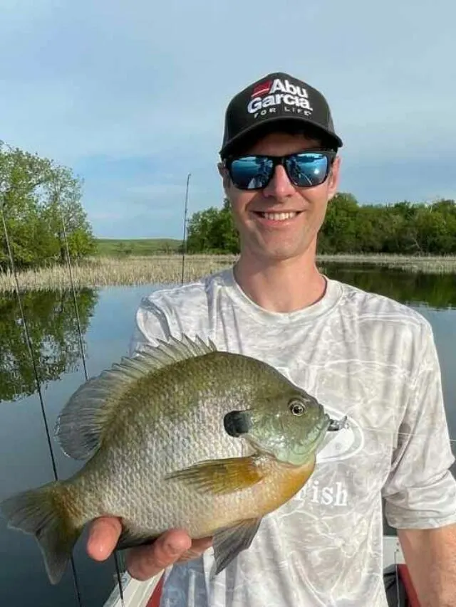 Where to Find Bluegill During the Spawn?