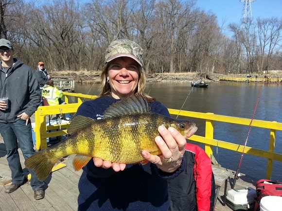 a female angler at a lake holding a big old yellow perch