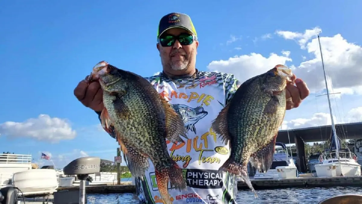 a US pro angler holding two big crappies
