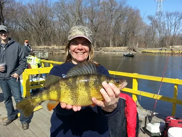 a female angler on a pier holding a huge yellow perch