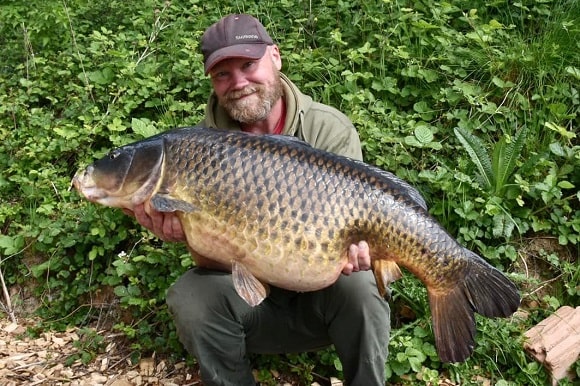 a Swedish carp angler with a big common carp caught in May