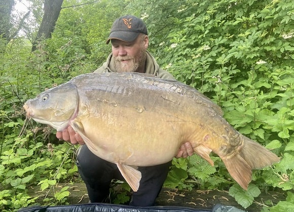 a carp angler with an extremely fat pre-spawn mirror carp full of eggs