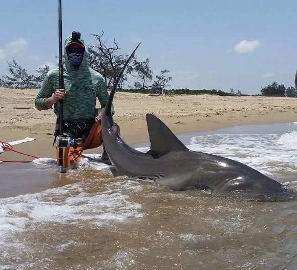 a saltwater angler with a big bull shark caught in Australia