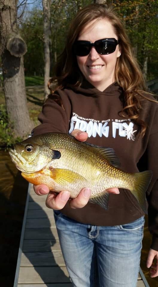 a female panfish angler holding a big pre-spawn bluegill