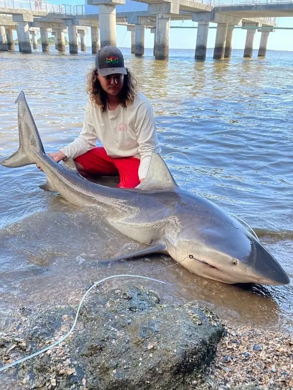 a young saltwater angler with an average sized bull shark