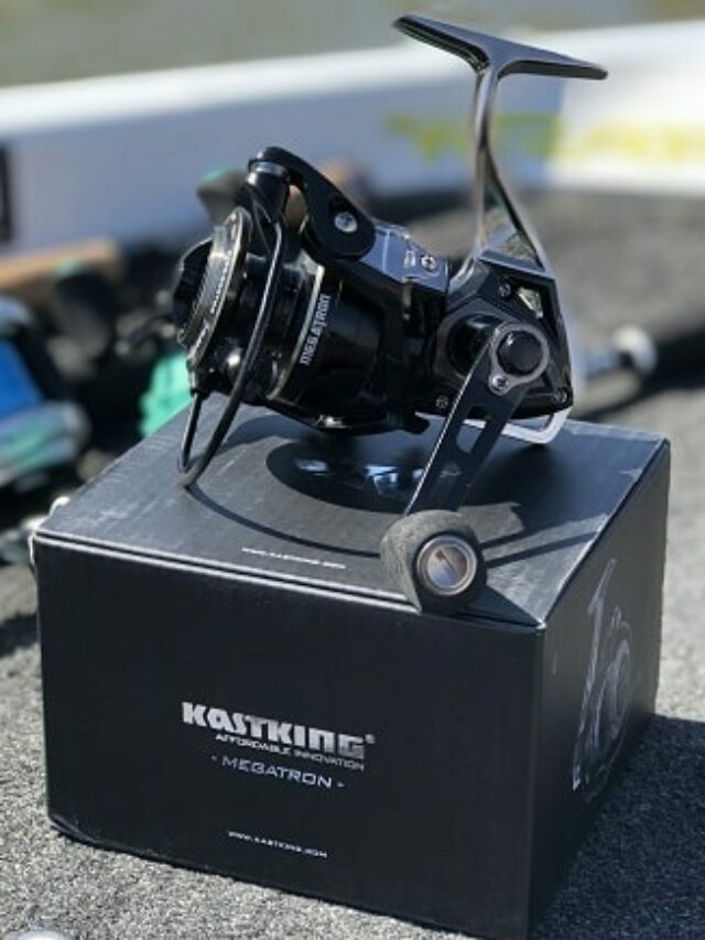 Best Budget Spinning Reels of 2023