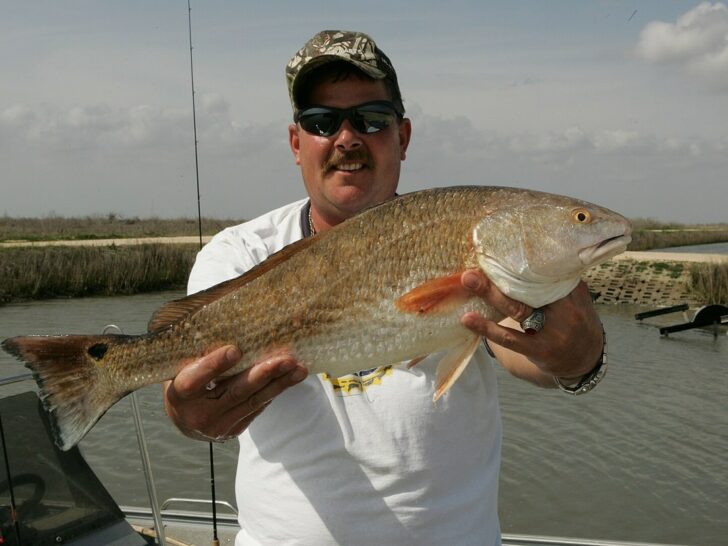 How Big Do Red Drum Get? (Average and Record Sizes)